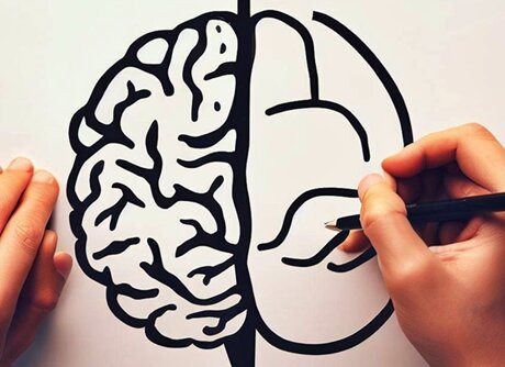 당신은 좌뇌형? 우뇌형? 🧠 뇌 성향 테스트로 알아보자!