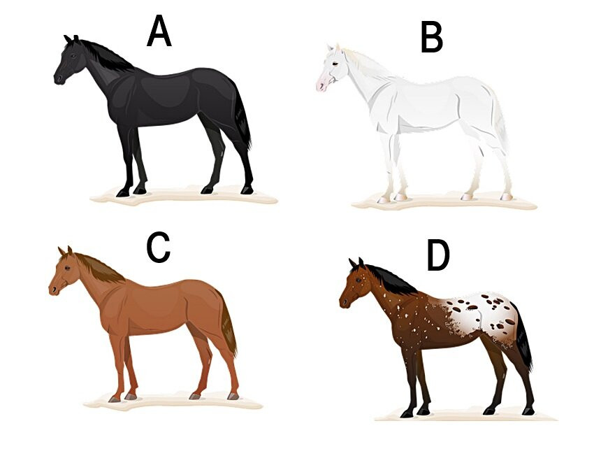 말 한 마리 골랐을 뿐인데… 내 패티시 성향이 이렇다고? 🐴