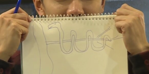 🐍 집사부일체 뱀 그림 테스트! 당신의 성적 본능, 과연 몇 점?