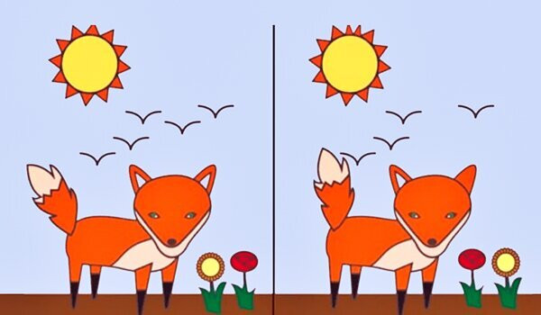 틀린그림찾기! 첫눈에 꽂힌 오류로 알아보는 내 성격은? 🧐