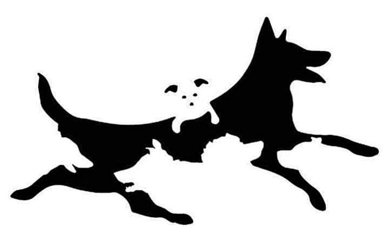 강아지 찾기 능력으로 밝혀지는 당신의 '찐' 정신연령은? 🐶