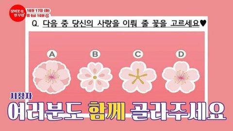 장필무 꽃잎 선택이 연애를 말해준다? 내 유형은 과연! 💖