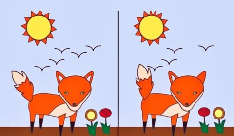 틀린그림찾기! 첫눈에 꽂힌 오류로 알아보는 내 성격은? 🧐