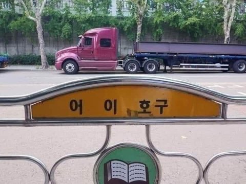 맨날 퍼주는 연애? 당신의 '호구력' 레벨은? 팩폭 테스트 💸