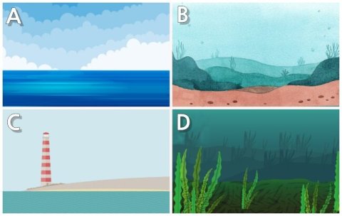 당신의 영적 촉은? 🌊 샤머니즘 레벨 테스트