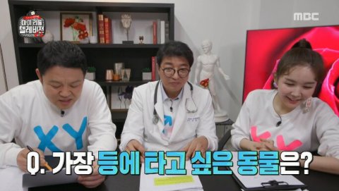 당신의 은밀한 욕망은? 💖 등에 타고 싶은 동물로 보는 성적 취향 테스트