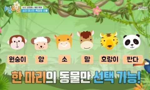 정글 족장이 주는 동물 선물? 내 스트레스 유형은 이거였네! 🌴