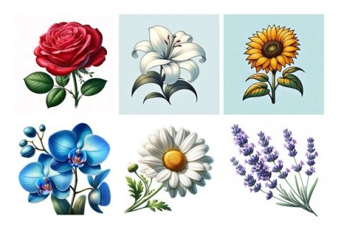 내 최애 꽃으로 알아보는 진짜 성격은? 🌸